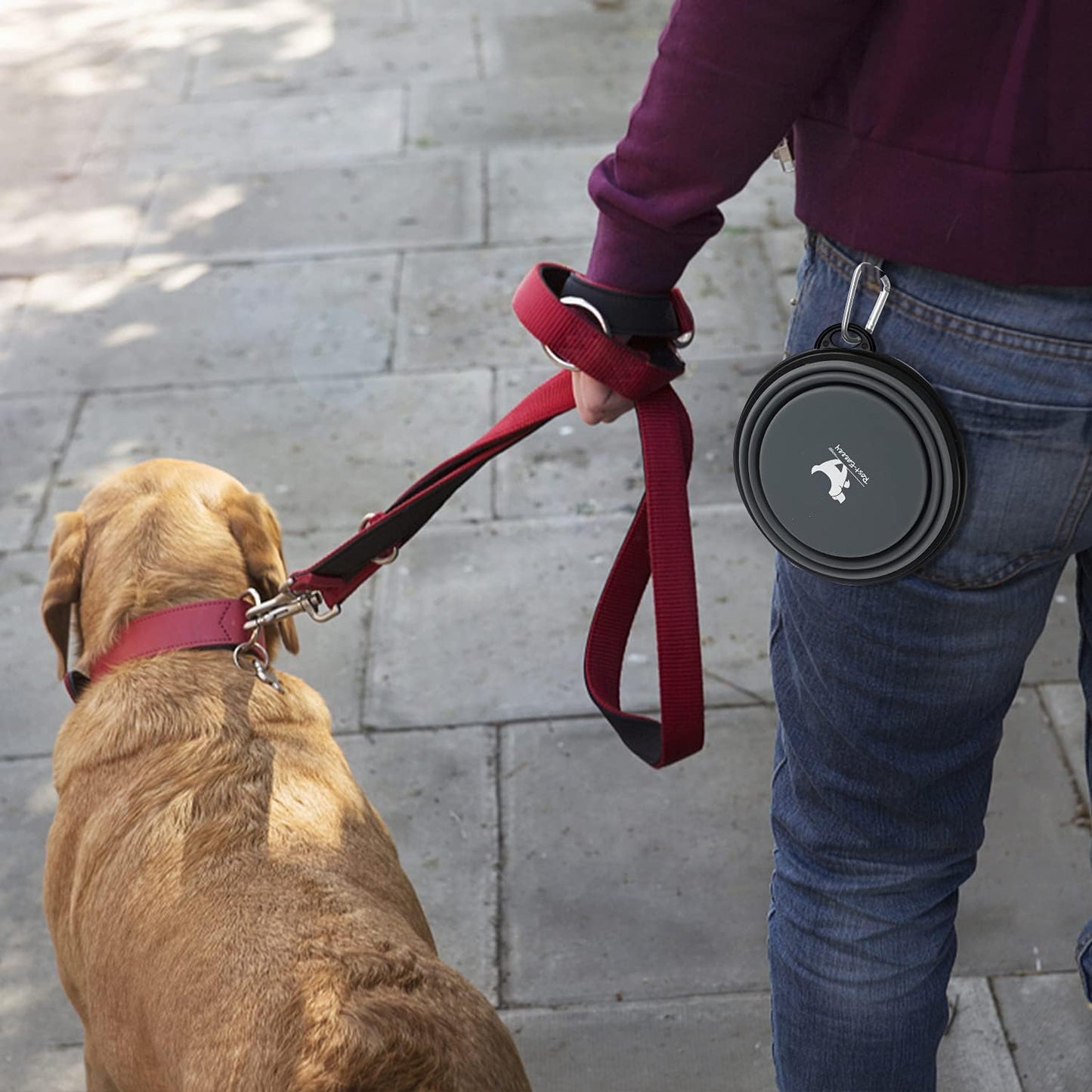 Collapsible Travel Dog Bowls - 2-Pack Portable Feeding & Watering Dishes for Pets with Carabiners (BPA Free, Grey & Pink, Medium)