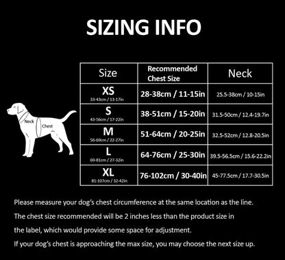 Adjustable No-Pull Reflective Dog Harness - Comfortable Control in Vibrant Colors (Truelove TLH5651, Gray, Large)