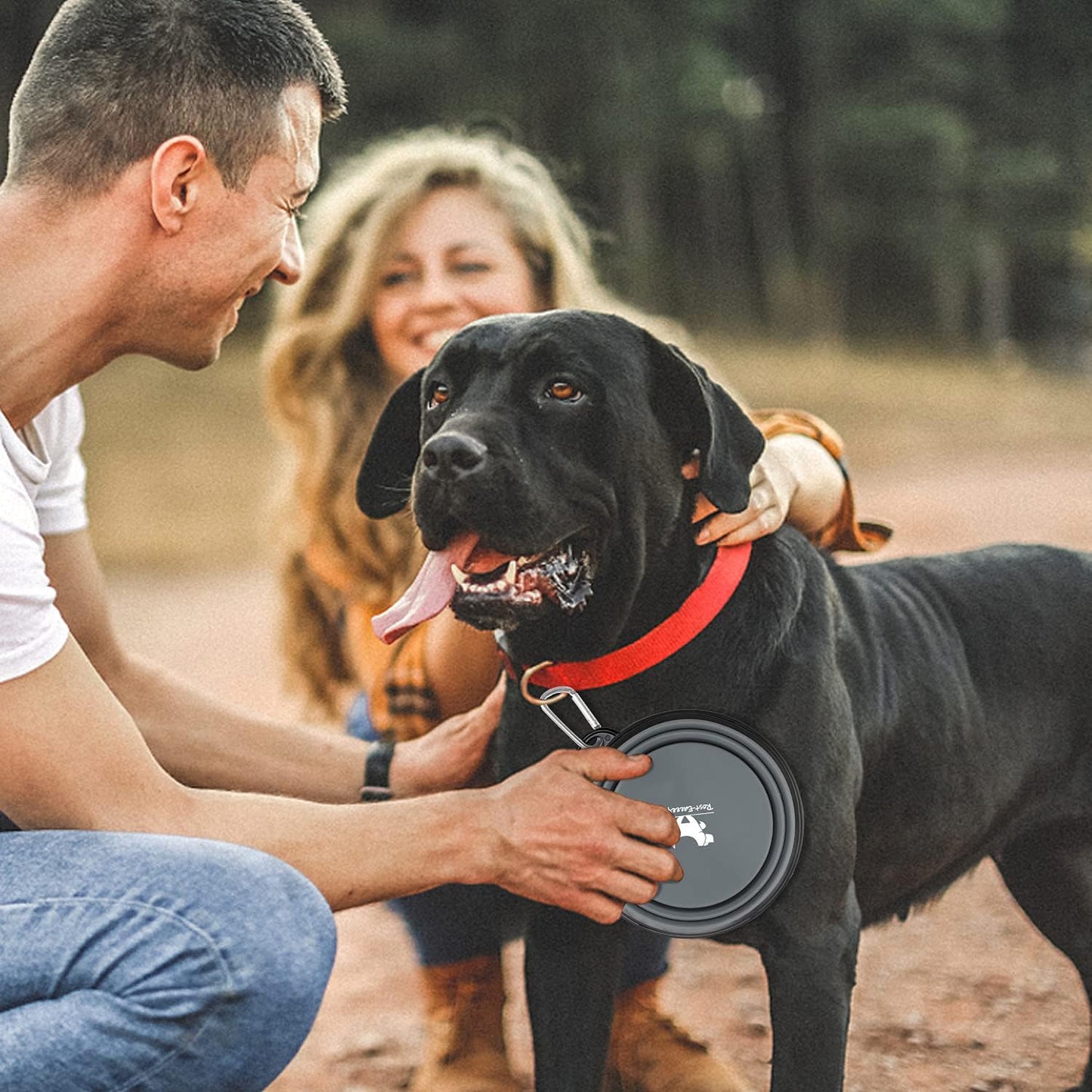 Collapsible Travel Dog Bowls - 2-Pack Portable Feeding & Watering Dishes for Pets with Carabiners (BPA Free, Grey & Pink, Medium)
