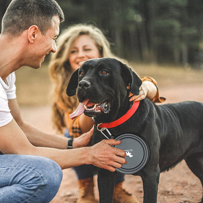 Collapsible Travel Dog Bowls - 2-Pack Portable Feeding & Watering Dishes for Pets with Carabiners (BPA Free, Grey & Pink, Medium)