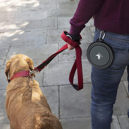 Collapsible Travel Dog Bowls - 2-Pack Portable Feeding & Watering Dishes for Pets with Carabiners (BPA Free, Grey & Pink, Medium)